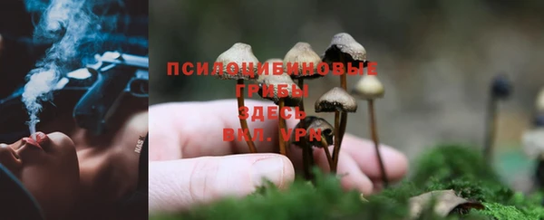 амф Волосово