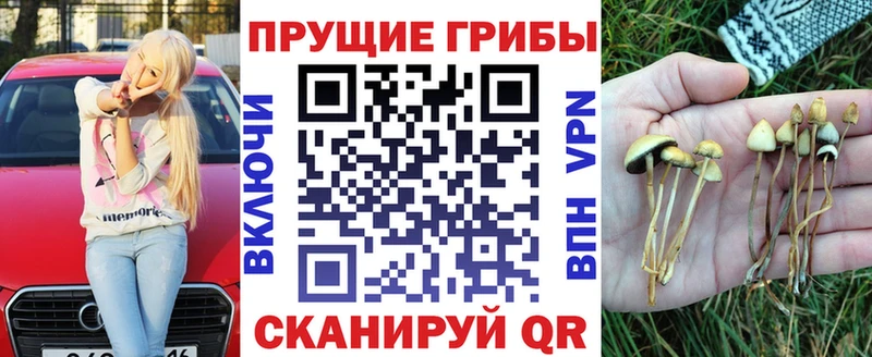 Галлюциногенные грибы Magic Shrooms  Комсомольск-на-Амуре 
